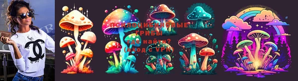 дмт Алексеевка