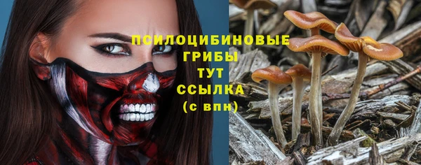 спиды Алзамай