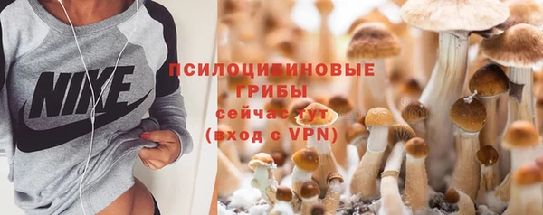 дмт Алексеевка