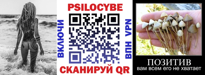 Галлюциногенные грибы ЛСД  Берёзовка 